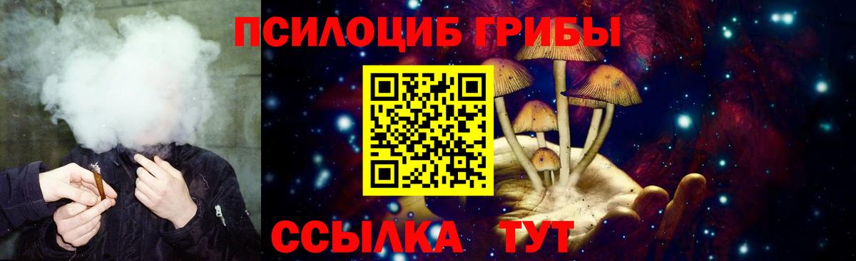 Партизанск  Галлюциногенные грибы Psilocybine cubensis  Вход с VPN  Псилоцибиновые грибы MAGIC MUSHROOMS 